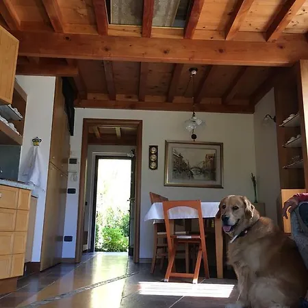 Falecchio Apartment